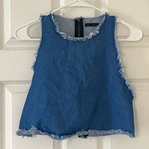 Zara Distressed Denim Crop Top